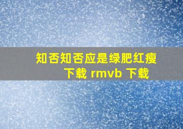 知否知否应是绿肥红瘦下载 rmvb 下载